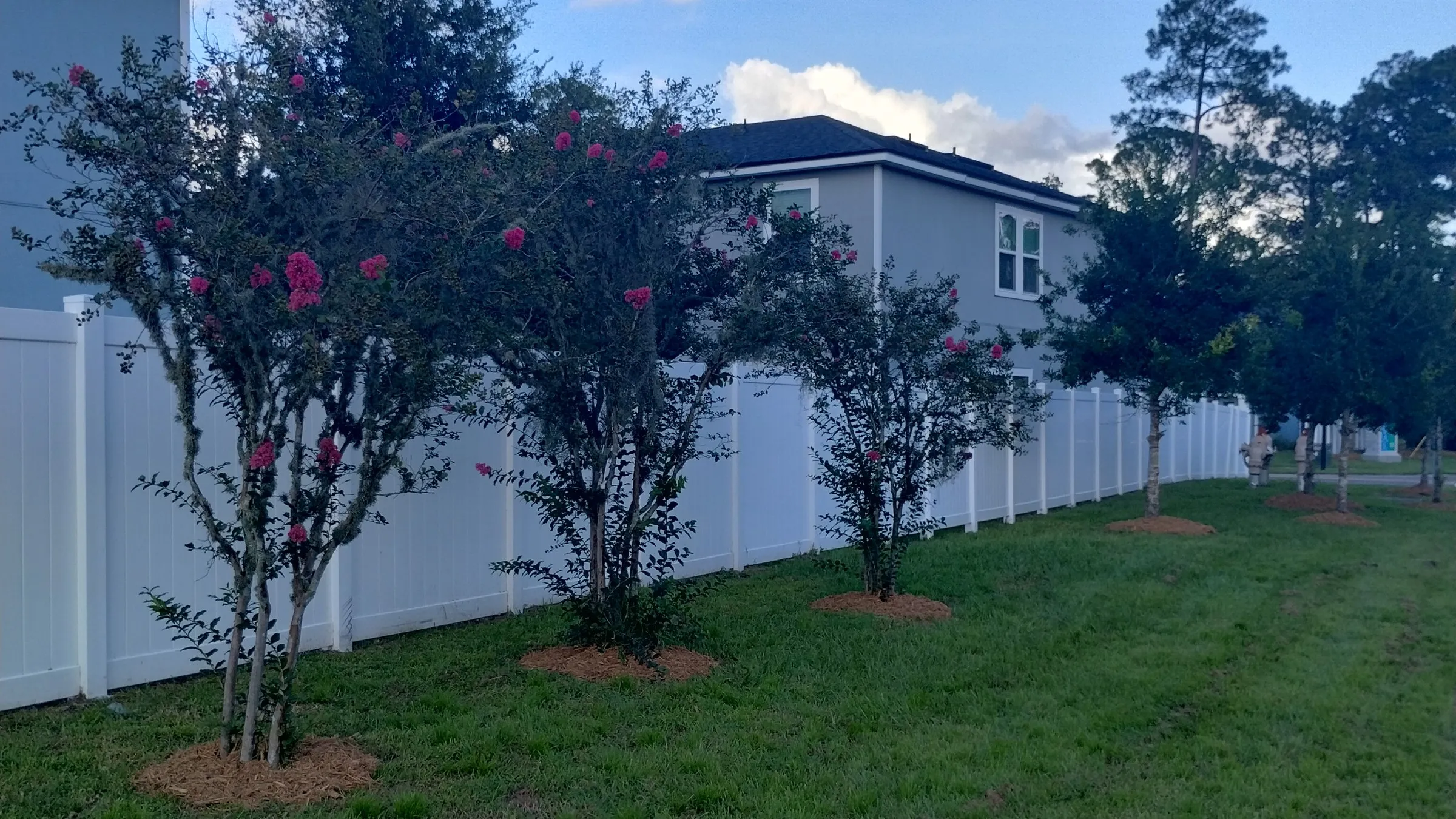 Maintained common-area lawn with mulched crepe myrtles at a Jacksonville townhome community