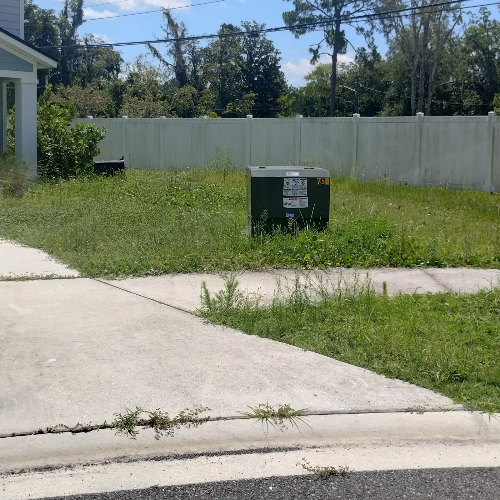 Weedy, overgrown lawn around a green utility box near a sidewalk
